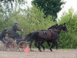 DSC_2076_web
